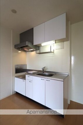 岡山県岡山市北区平田[1LDK/45.04m2]のキッチン