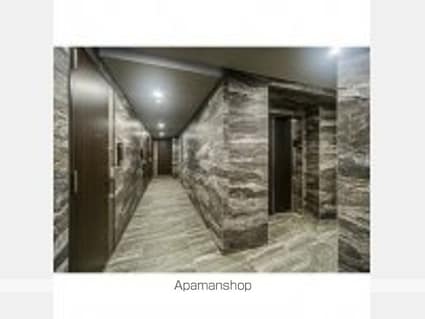 ミレドゥーエ神楽坂[1K/27.31m2]の共用部4