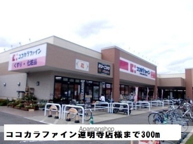 コージーレジデンスの周辺写真