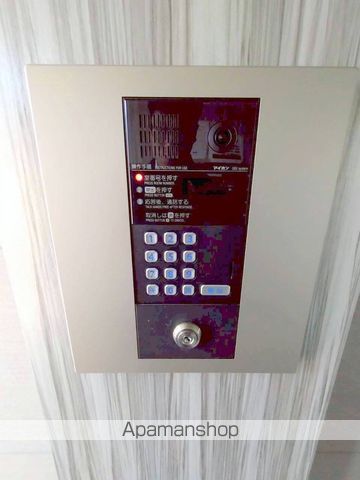 KO OLINA UKINOJOのその他写真