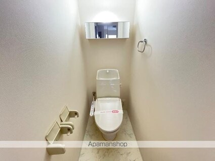 エイ・ティ　テラス[1LDK/38.19m2]のトイレ