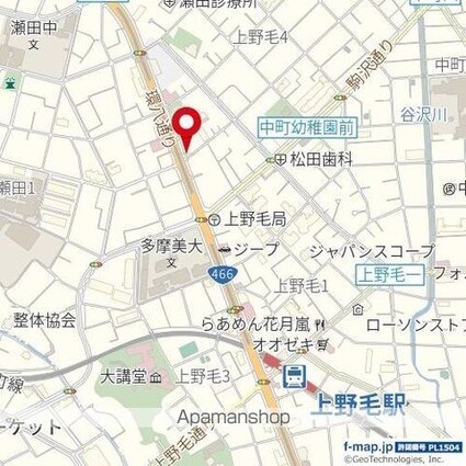 東京都世田谷区上野毛４丁目[1R/21.6m2]の周辺9