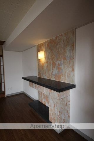 蛍池中町3-8-8-2の内装写真