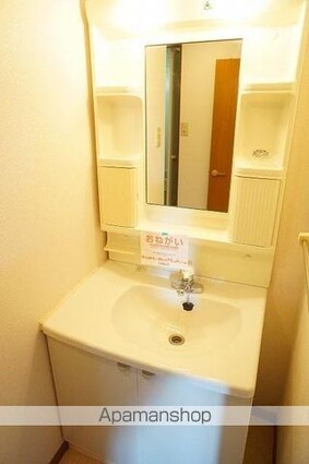 グレイス・フル・エンブレスＧⅡ[2DK/51.36m2]の洗面所