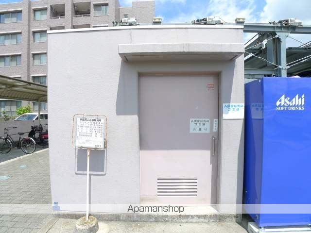 アミリスのその他写真