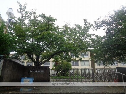 リヴェール浅野[1K/28.14m2]の周辺6