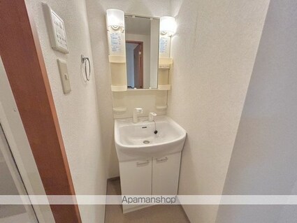 滋賀県蒲生郡日野町大字内池[1K/32.4m2]の洗面所