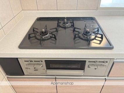 ガレリアン[2LDK/56.18m2]のキッチン2