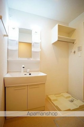 フラン[1LDK/45.13m2]の洗面所