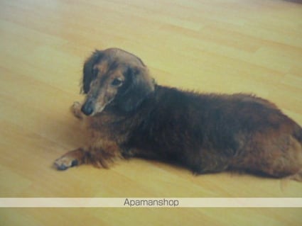 ガーデンハイム美郷[1LDK/44.95m2]の内装5