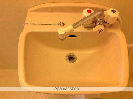 レオネクストシルフ[1K/28.02m2]の洗面所