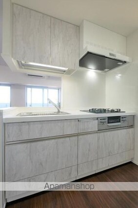 プレミアムキューブ上野毛♯ｍｏ[1LDK/51.46m2]のキッチン