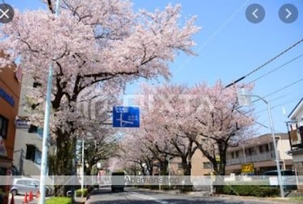 ＭＡＨＡＬＯ　ＴＥＲＲＡＣＥ　練馬春日町[1R/16.01m2]の周辺4