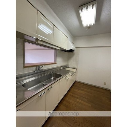 テレパレス西千葉[3LDK/87.56m2]のキッチン