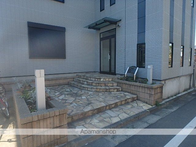 プルメリアのその他写真