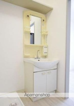 Ｓｈｉｎｙ　Ｖａｌｌｅｙ[1LDK/36.21m2]の洗面所