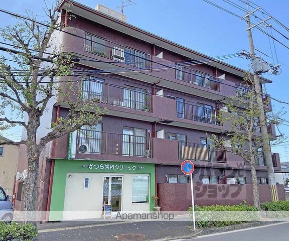 ロココ桂