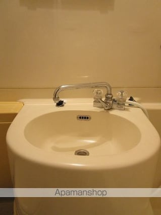 ブラウンハイム[1K/21.1m2]の洗面所