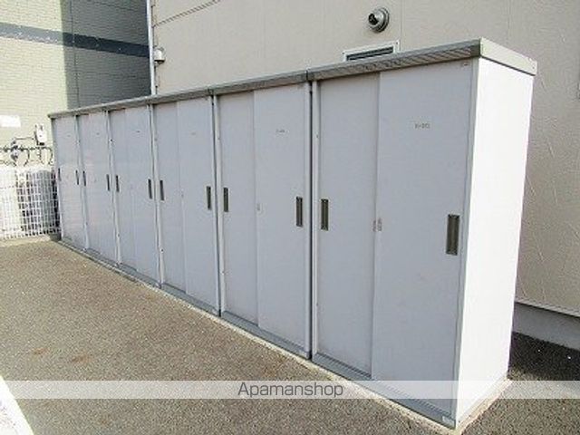 ヴィオラIIIBのその他写真