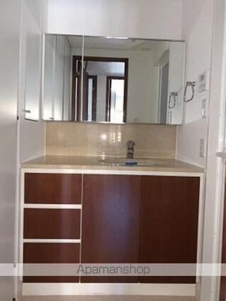 ヒルズ目白台[2LDK/58.85m2]の洗面所