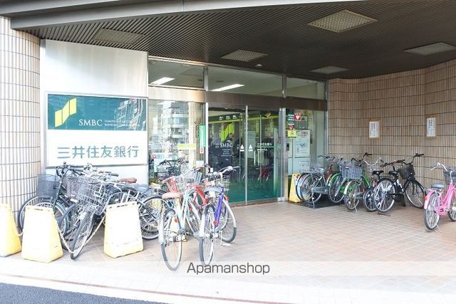 ブルースターの周辺写真