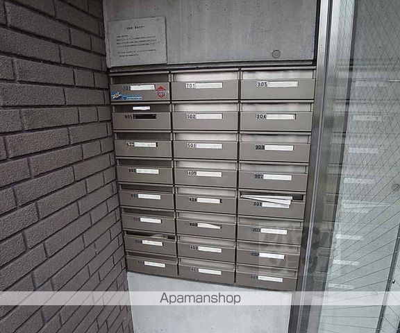 プリムローズのその他写真