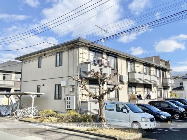 カメリア
