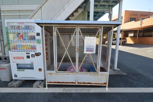 ヤングユーカリのその他写真