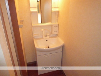 リバティーコート[1R/29.7m2]の洗面所