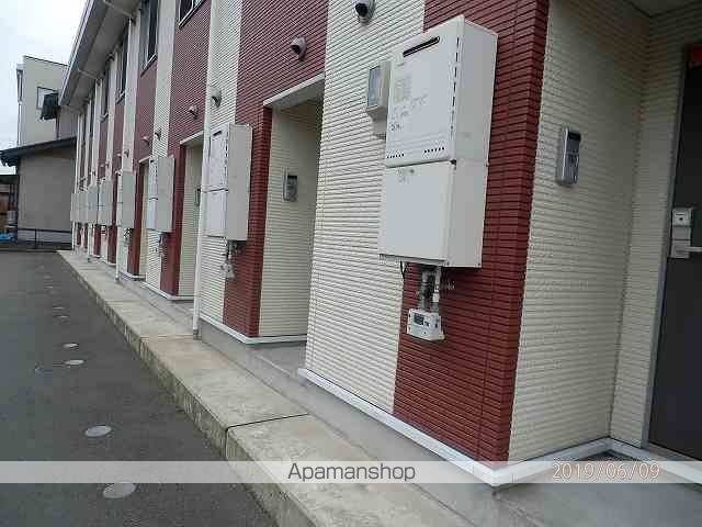 レオネクストグレイスヒカリのその他写真