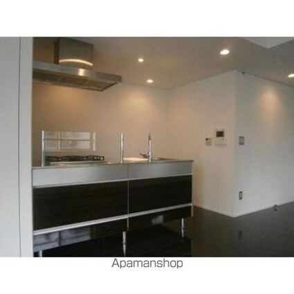 パークキューブ銀座イースト[1LDK/50.01m2]のその他内装4