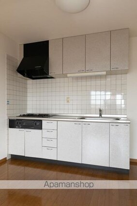 ＲＩＯ・ＰＬＡＴＩＮＯ[2LDK/60m2]のキッチン