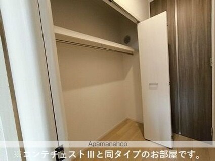 フェリシア南小泉[1K/28.87m2]の収納