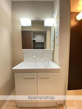 ＨａｉｍｉｓｈⅡ（ハイミッシュツー）[1K/30.54m2]の洗面所