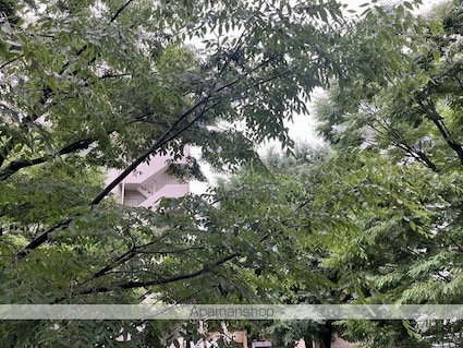 東京都杉並区阿佐谷南３丁目[1LDK/36.96m2]のロビー