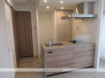 ベルジェンド三鷹ラ・ヴィエ[1R/31.42m2]のその他内装2