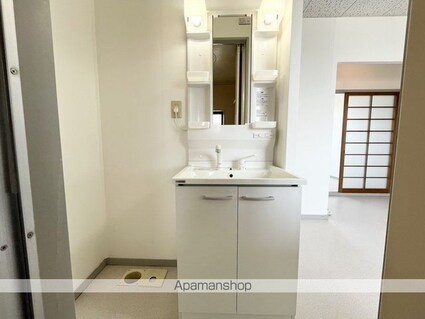 エクセレントハイツ[3DK/43.74m2]の洗面所