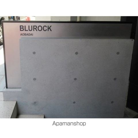 BLUROCK青葉台の玄関写真