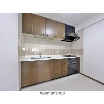 ビラ園生[3LDK/112.11m2]のキッチン