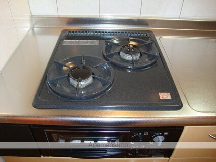 イコール・アルパイン[1K/29.7m2]の内装3