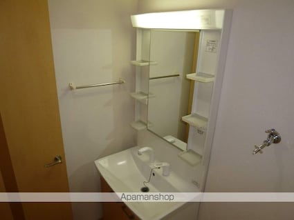 ルミナスローズ[2LDK/54.8m2]の洗面所