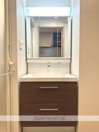 ＡＥＬＬ亀有[1K/26.61m2]の洗面所