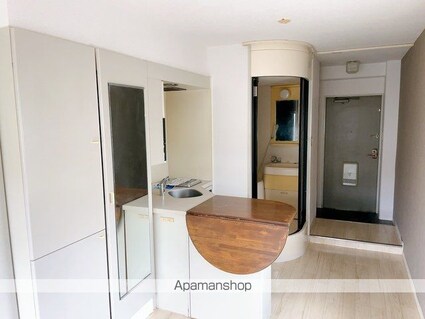ラ・パルフェ・ド・アンティエール[1R/20.3m2]のその他部屋・スペース
