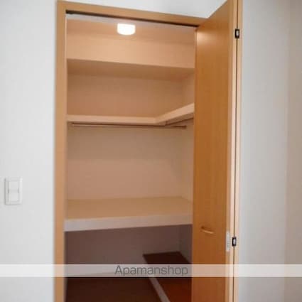 ダンデ　ライオン[2DK/46.79m2]の収納