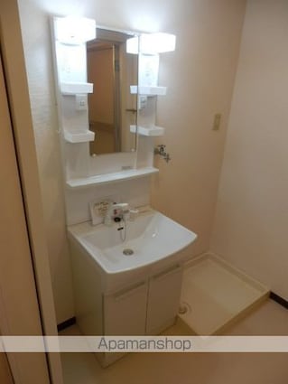 エクセルハイム城山[3LDK/65.45m2]の洗面所