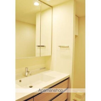 パークアクシス豊洲キャナル[1LDK/46.28m2]の洗面所