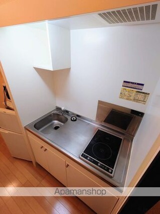 レオネクストかのう[1K/26.08m2]のキッチン