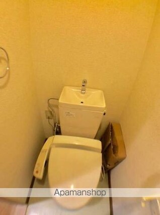 Ｂｒａｎｃｈｅ　ＤＥ　ＦＲＡＮＣＯＩＳ[2DK/49.92m2]のトイレ