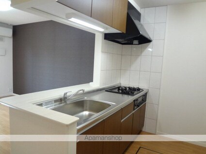 マイ　リバーサイド[1LDK/47.93m2]のキッチン