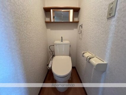 グリーンヒルズ曙[2DK/45.36m2]のトイレ